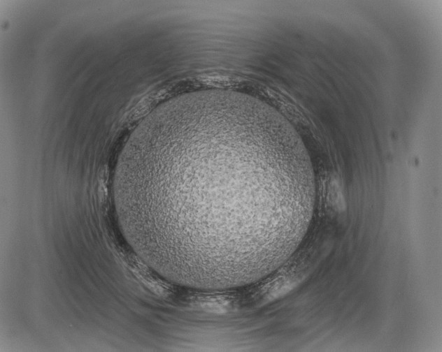 X0000084580702200703021530