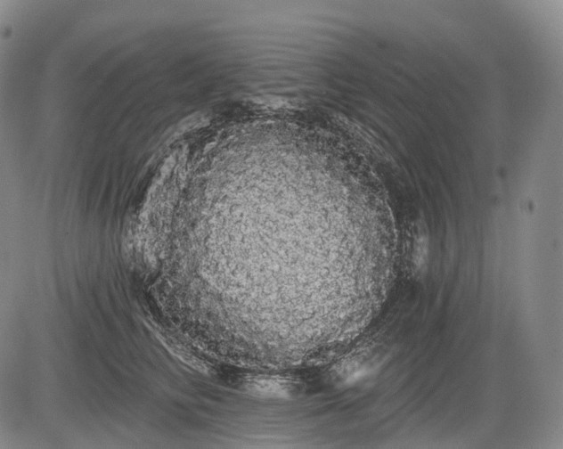 X0000084580710200703021530