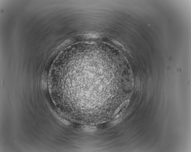 X0000084580719200703021530