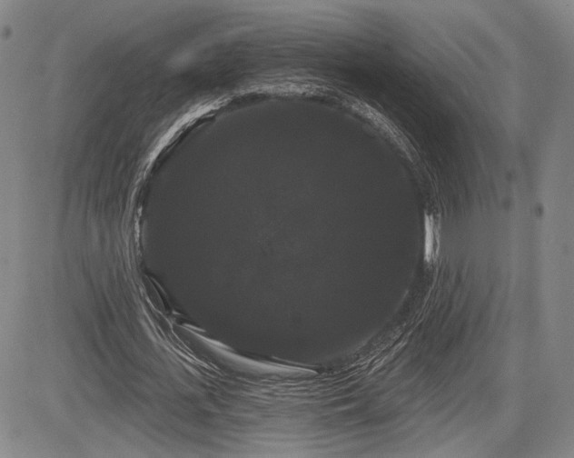 X0000084580723200703021529