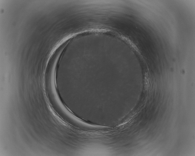 X0000084580726200703021529