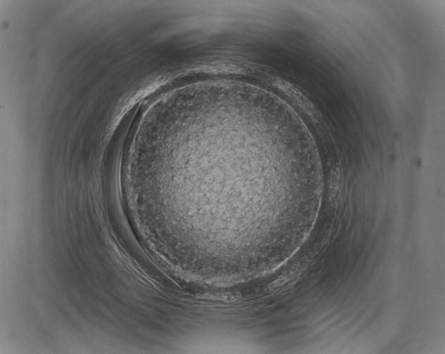 X0000084580727200703021529