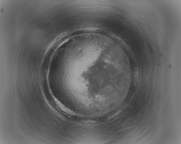 X0000084580734200703021529