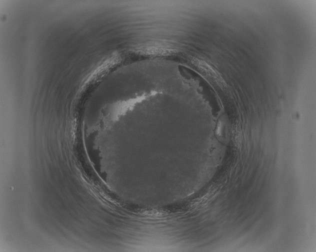 X0000084580735200703021529