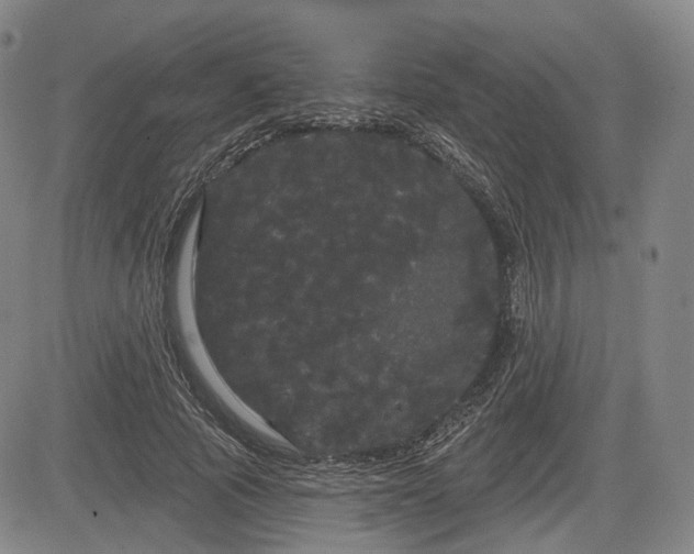 X0000084580737200703021529