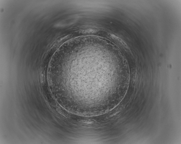 X0000084580743200703021529