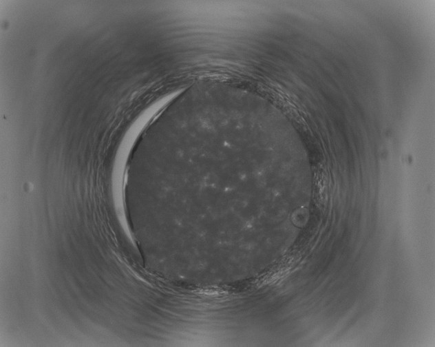 X0000084580745200703021529