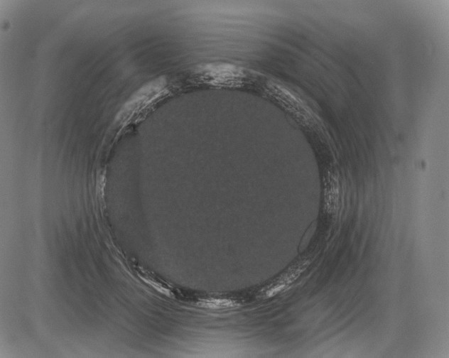 X0000084580748200703021529