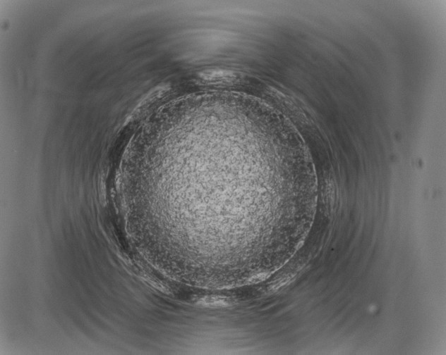 X0000084580751200703021529