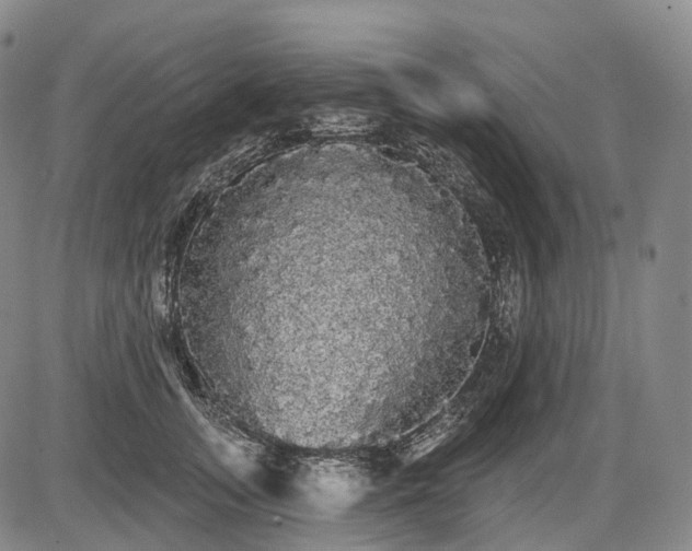 X0000084580755200703021529