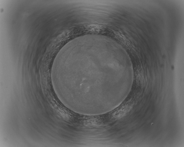 X0000084580769200703021529