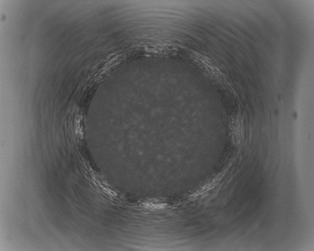 X0000084580770200703021529