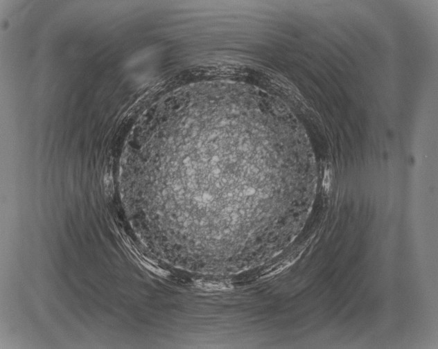 X0000084580771200703021529