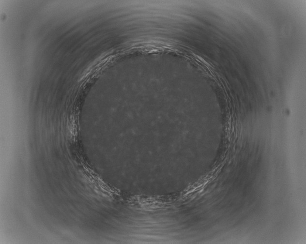 X0000084580774200703021529