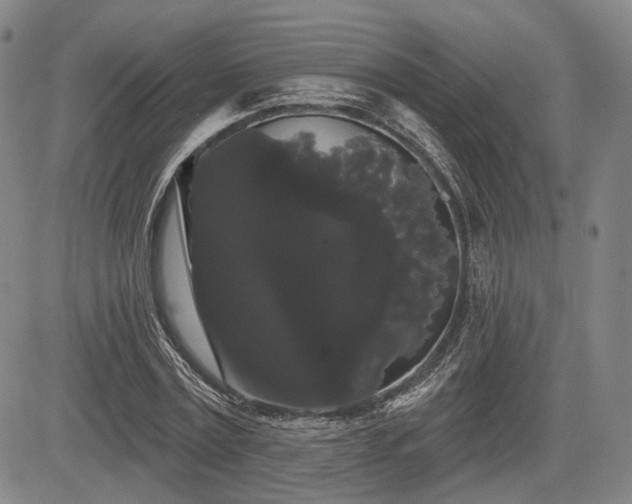 X0000084580779200703021529