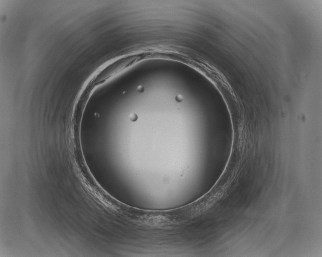 X0000084580784200703021529