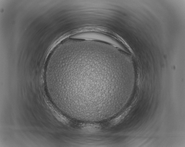 X0000084580786200703021528