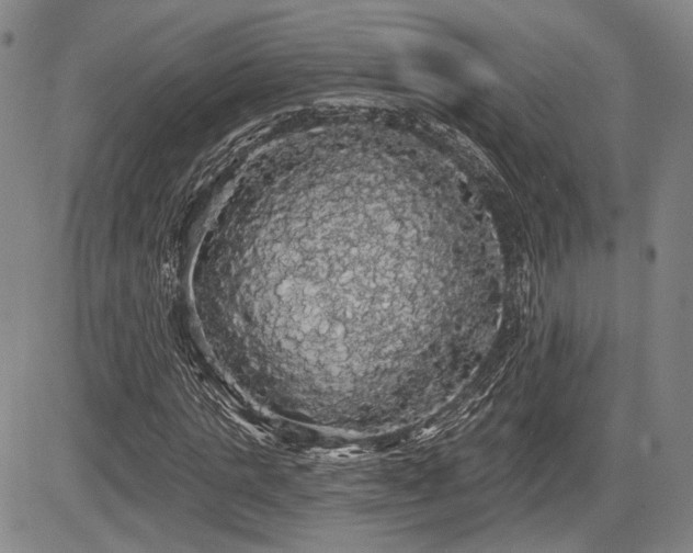 X0000084580821200703021527