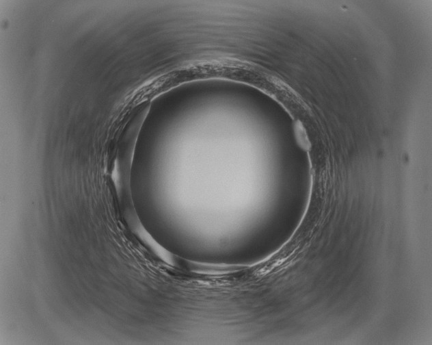 X0000084580822200703021527