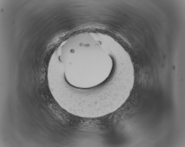 X0000084580824200703021527