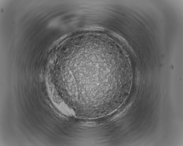 X0000084580833200703021527