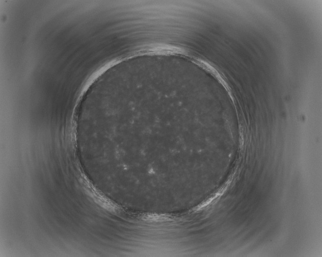 X0000084580835200703021527