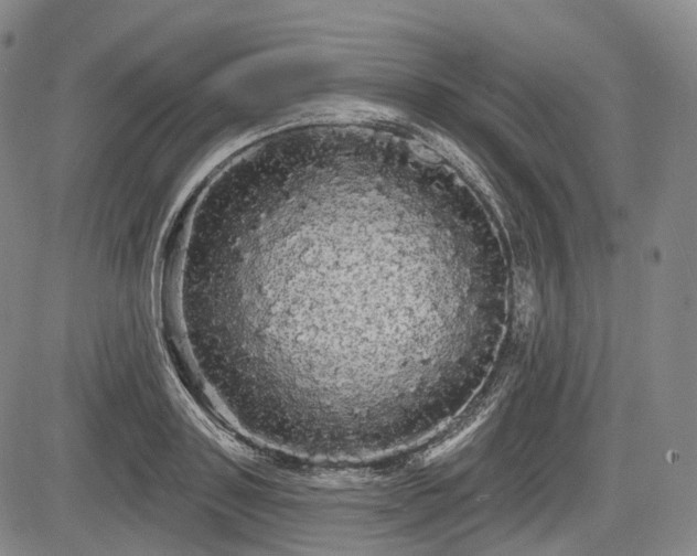 X0000084580843200703021528