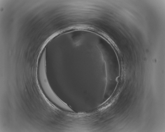 X0000084580853200703021528