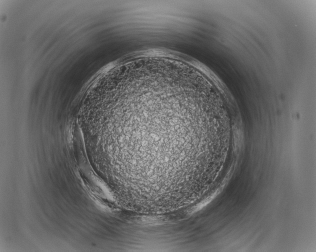 X0000084580857200703021528