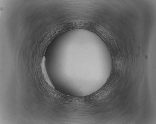 X0000084580865200703021527