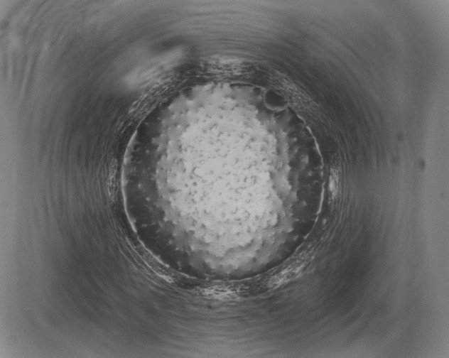 X0000084580867200703021527