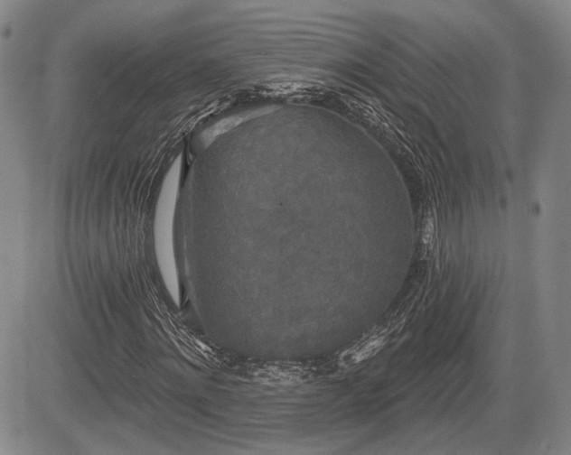 X0000084580868200703021527