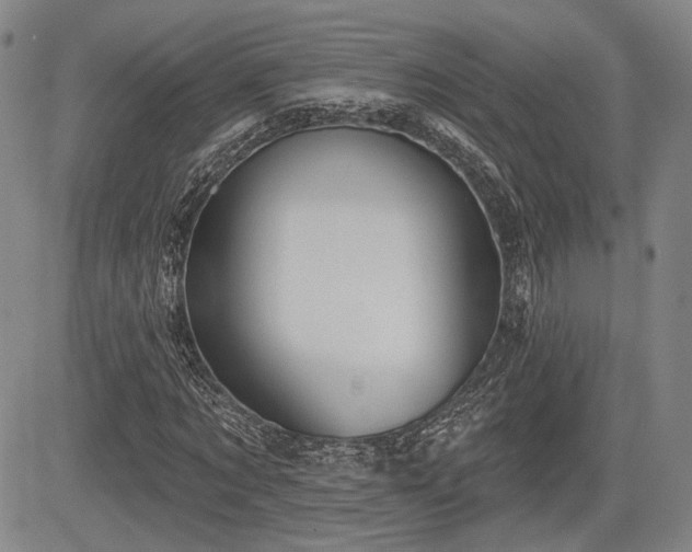 X0000084580869200703021527