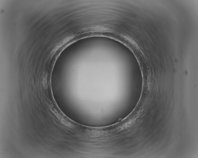 X0000084580873200703021527