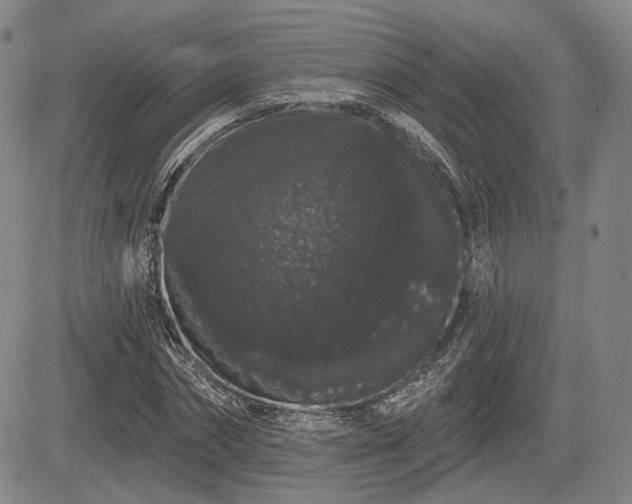 X0000084580874200703021527