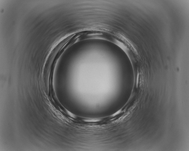 X0000084580876200703021527