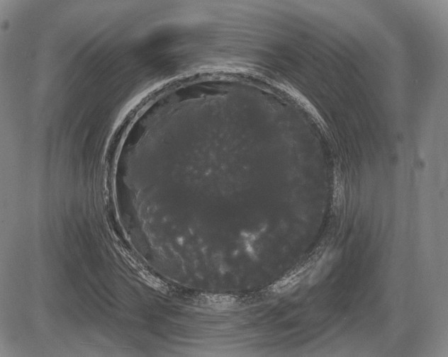 X0000084580878200703021527