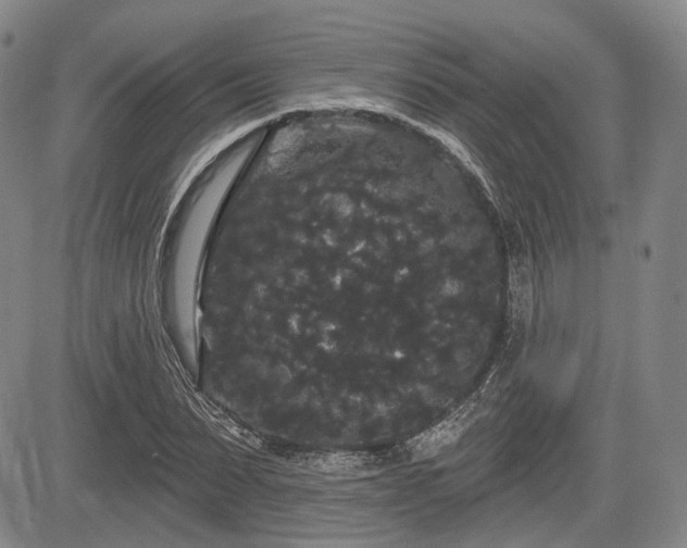 X0000084580879200703021527
