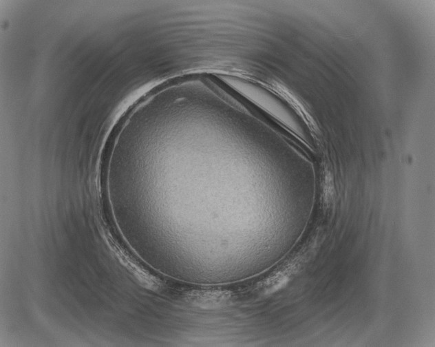 X0000084580884200703021527
