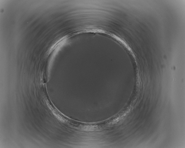 X0000084580889200703021527