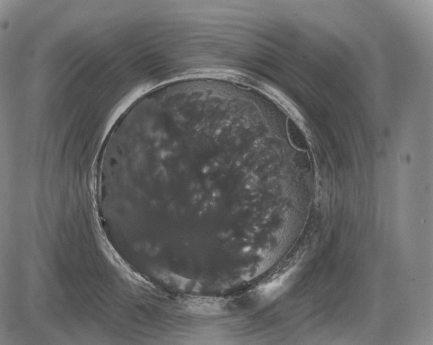 X0000084580907200703021526
