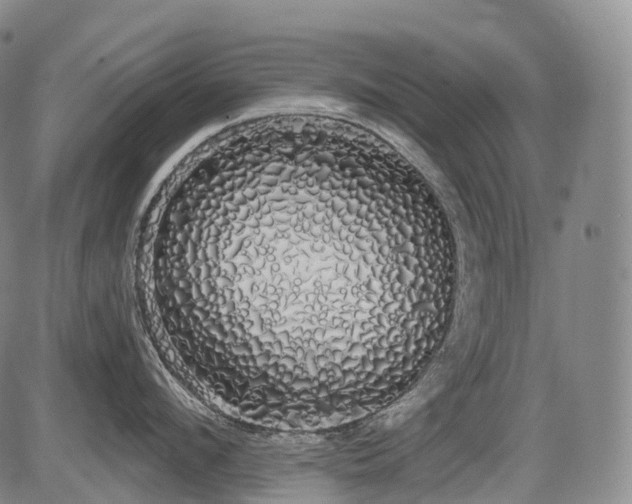 X0000084580912200703021526