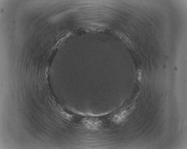 X0000084580915200703021525