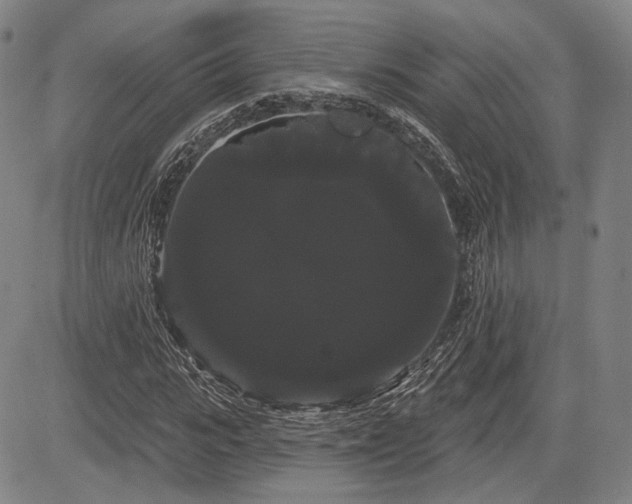 X0000084580919200703021525