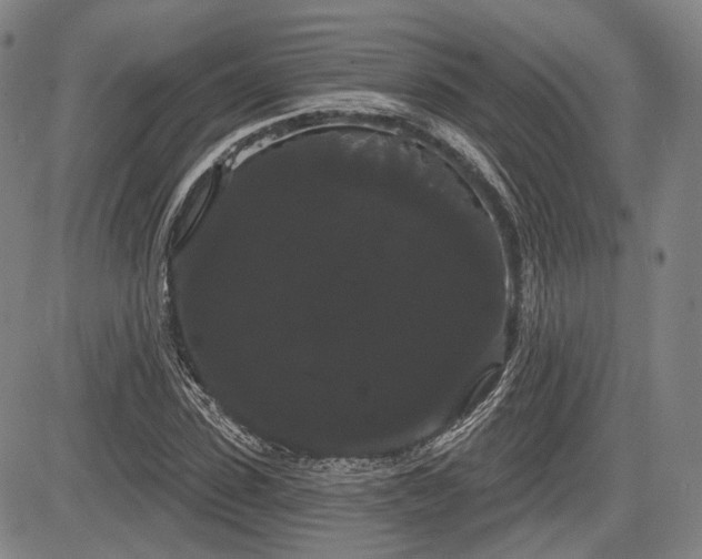 X0000084580923200703021525