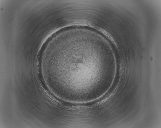 X0000084580926200703021526