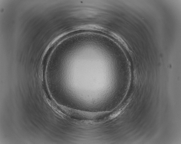 X0000084580931200703021526