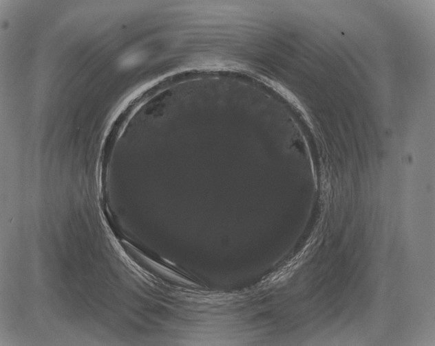 X0000084580935200703021526