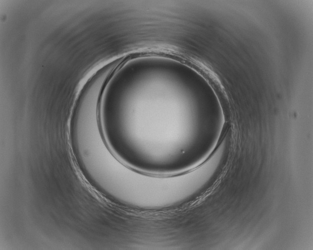 X0000084580936200703021526