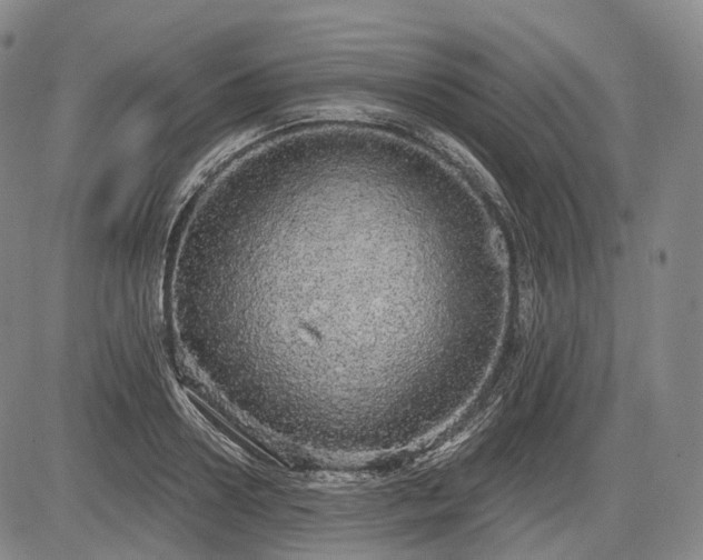 X0000084580938200703021526